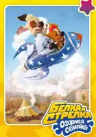  Белка и Стрелка: Озорная семейка смотреть онлайн мультсериал 1-3 сезон 